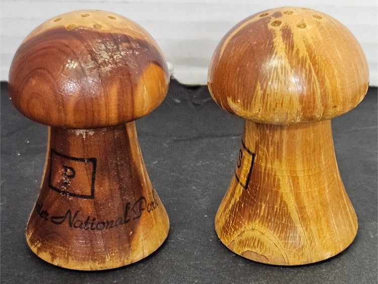 2 Natural Wood Mushroom Florida National Park Salt & Pepper Shakers