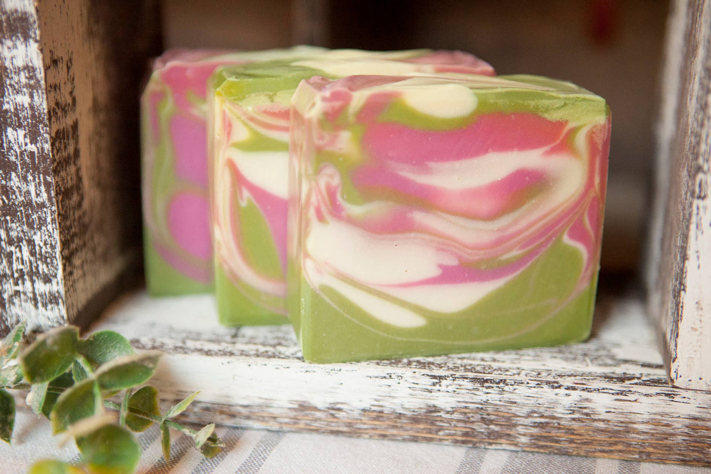 Baja Cactus Artisan Soap, Premium Fragrance, Luxury