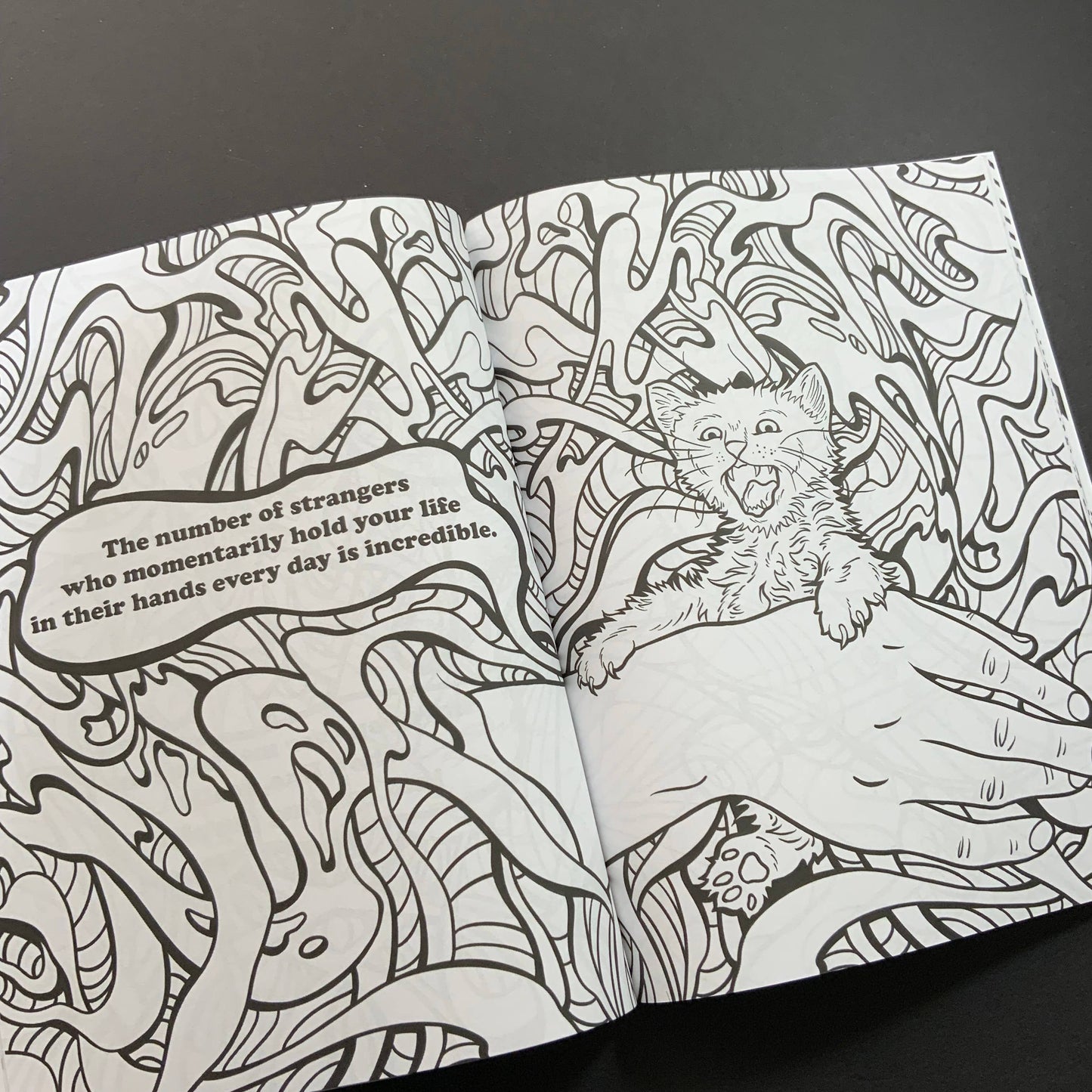 *Coloring Book: “Stoner Cats” Standard Edition