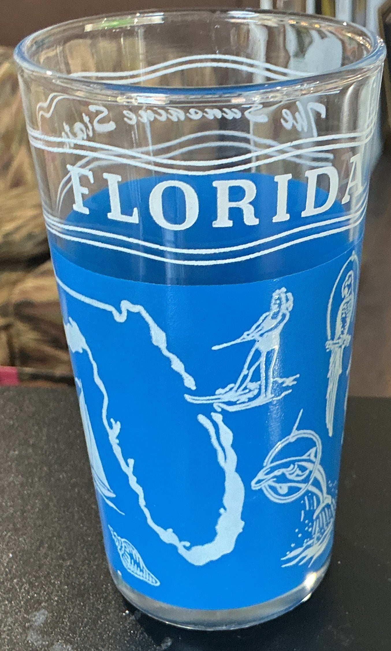 Set of 2 Florida Souvenir Glasses