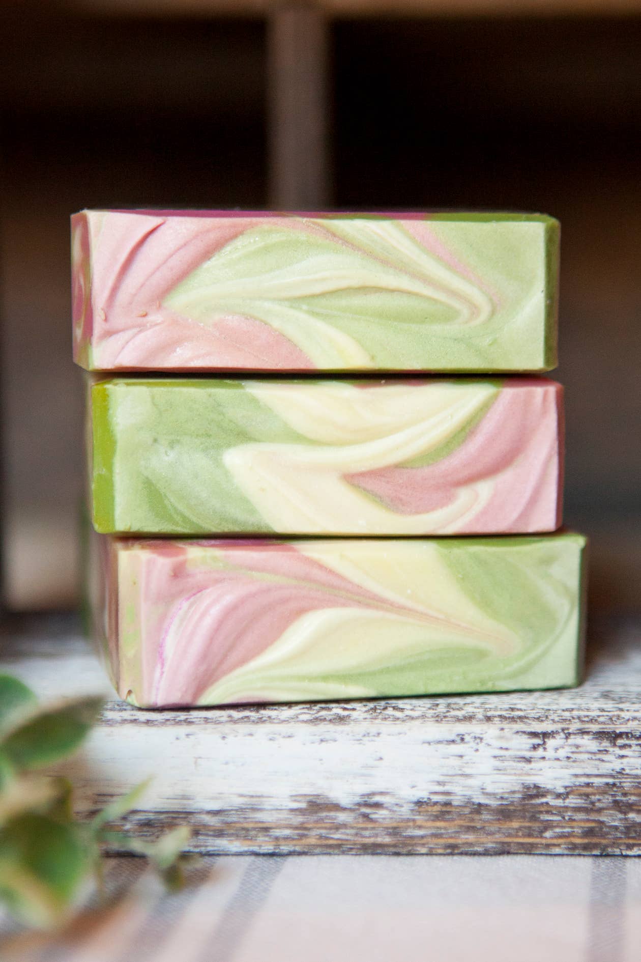 Baja Cactus Artisan Soap, Premium Fragrance, Luxury
