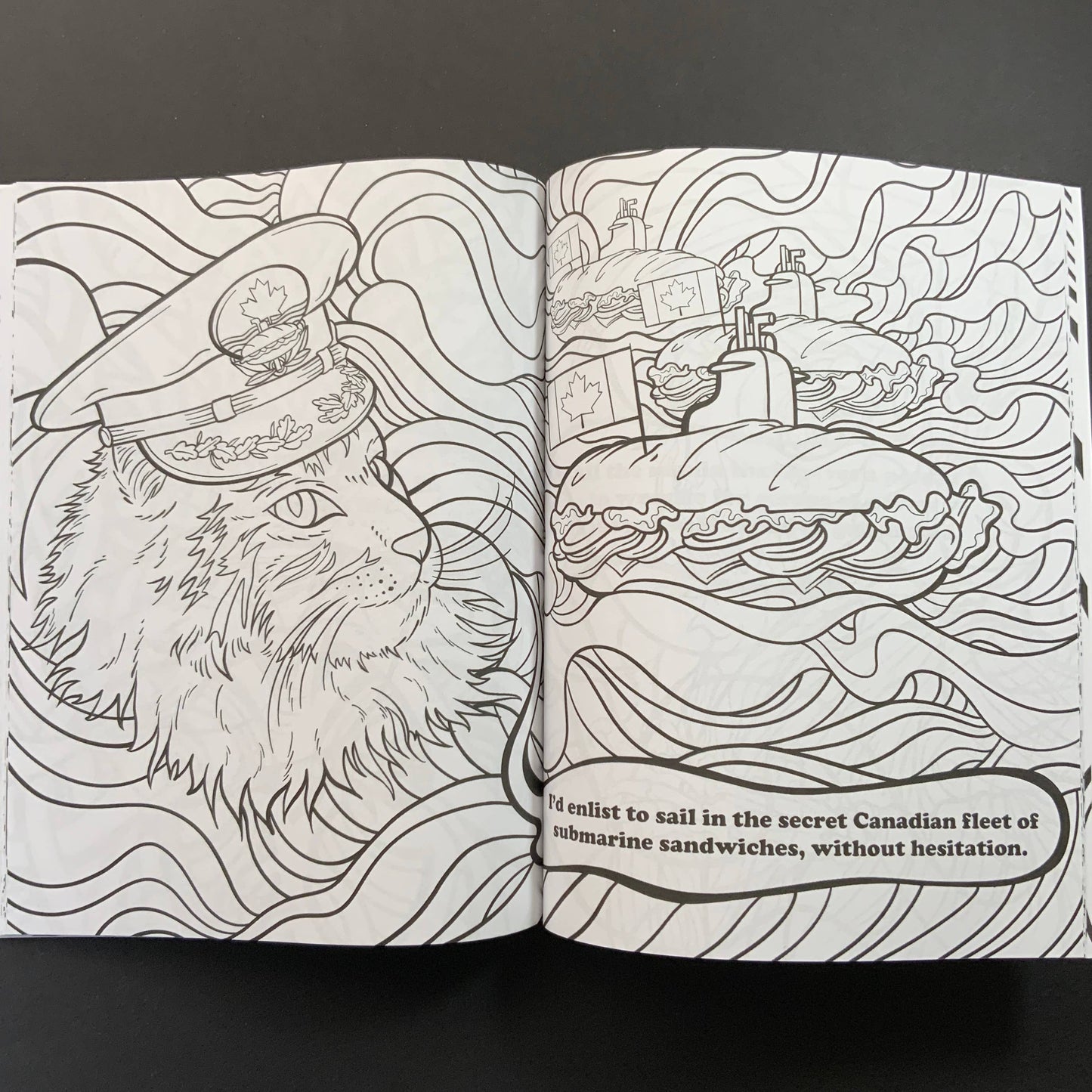 *Coloring Book: “Stoner Cats” Standard Edition
