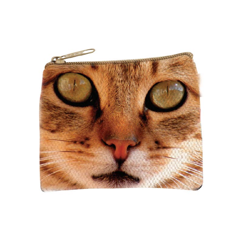 Cats Focus Eyes Coin Purse