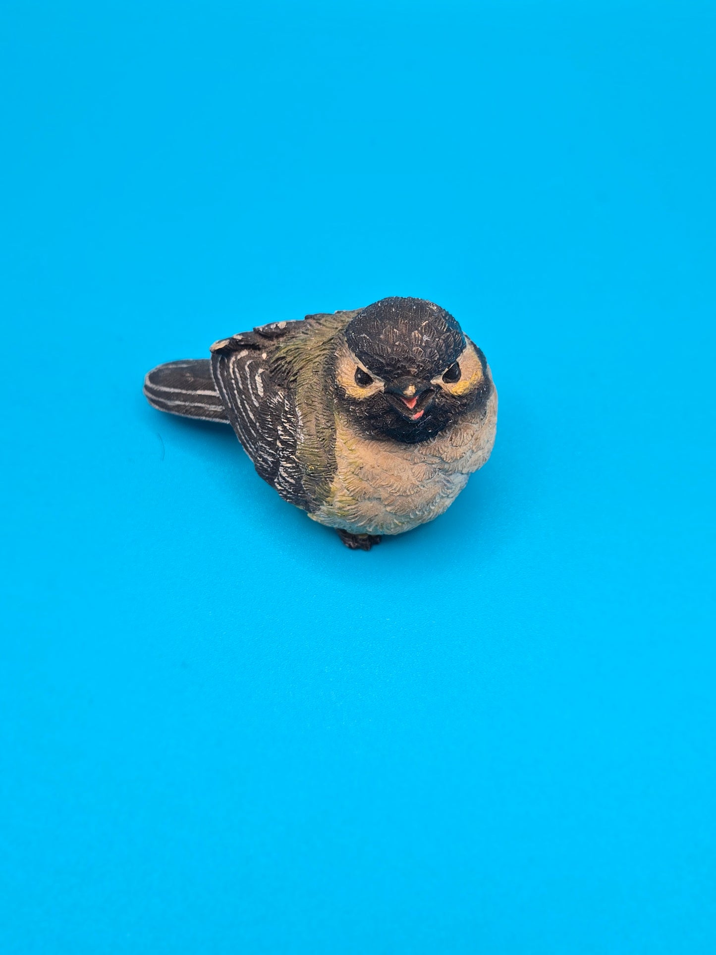 Baby robin