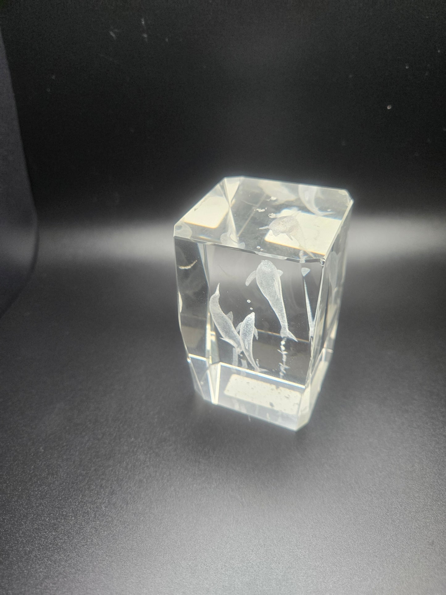 Glass paperweight with image of dolphins