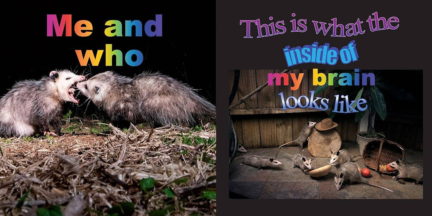 No Thoughts Just Possums Meme Photo Book by Sylvie