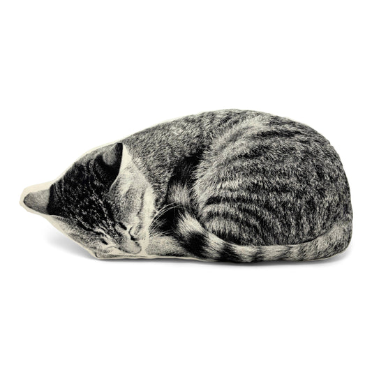 Sleeping Cat Pillow