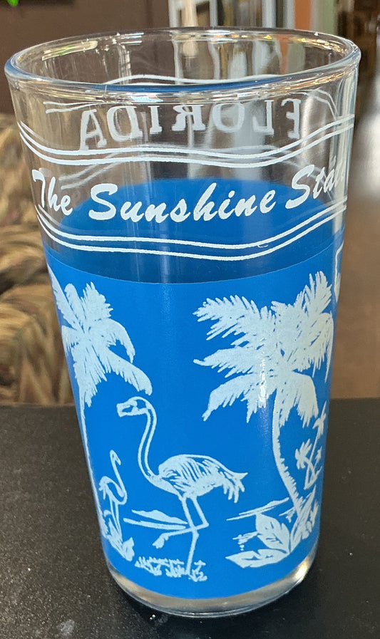 Set of 2 Florida Souvenir Glasses
