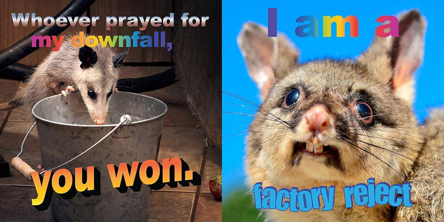 No Thoughts Just Possums Meme Photo Book by Sylvie