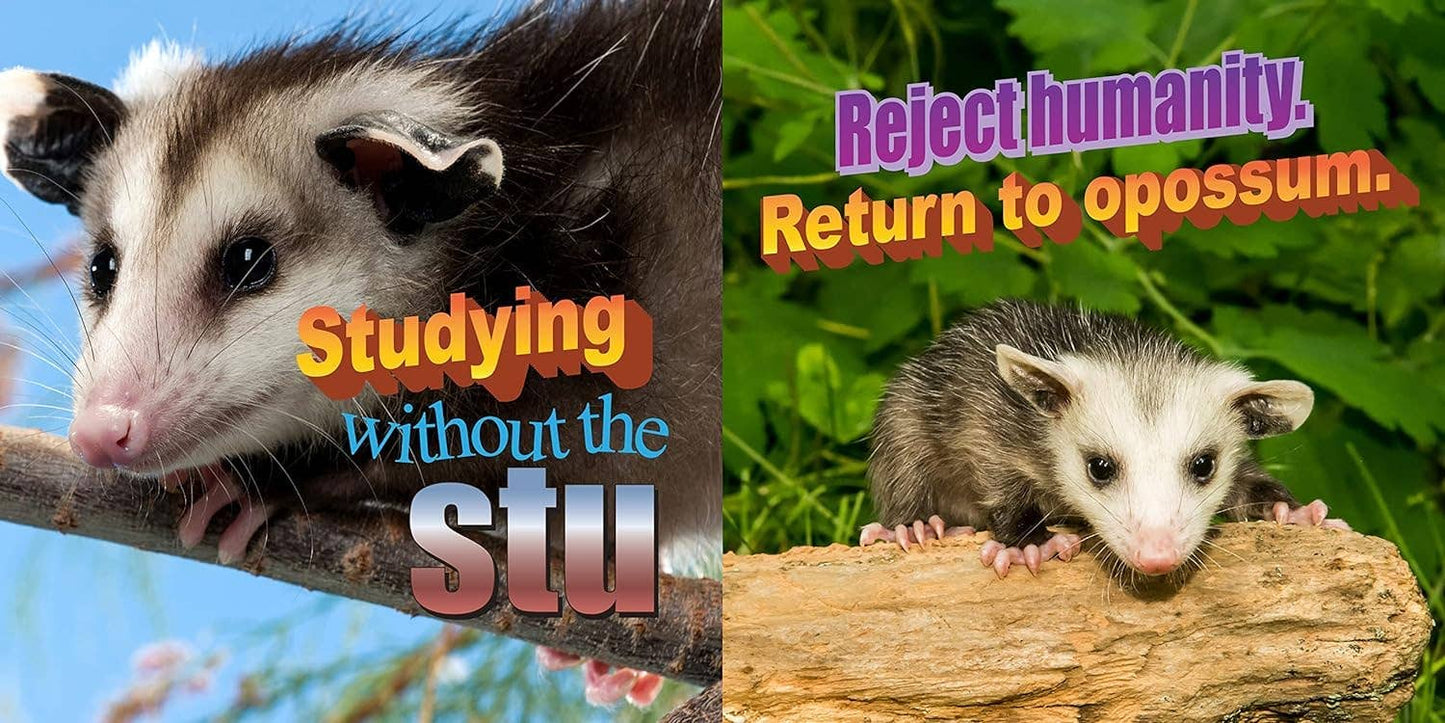 No Thoughts Just Possums Meme Photo Book by Sylvie