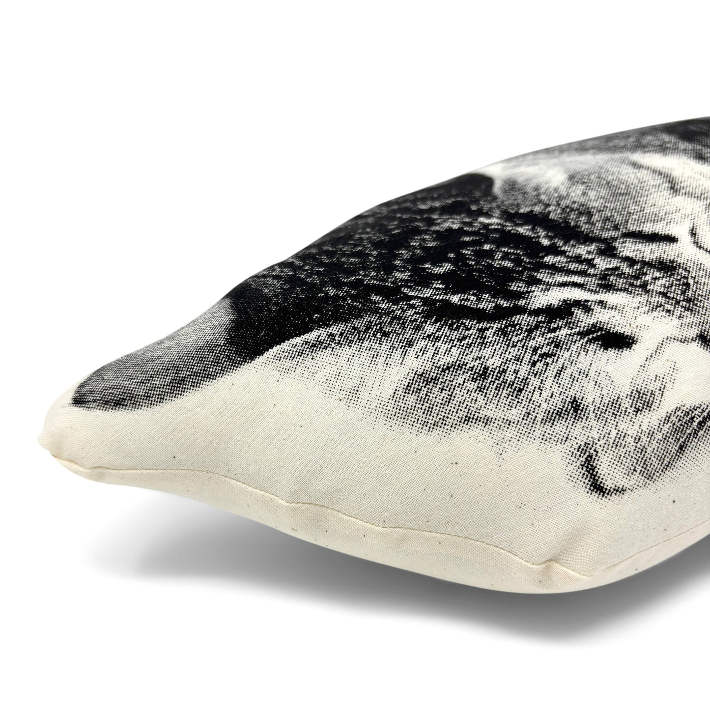 Sleeping Cat Pillow