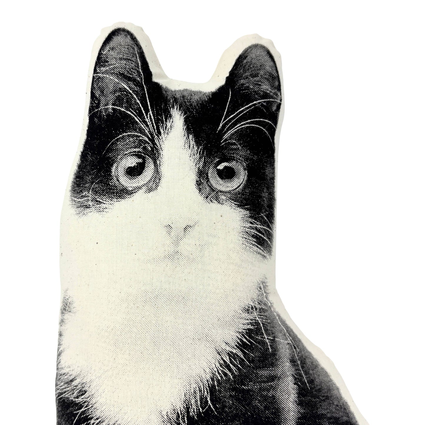 Black and White Kitten Pillow