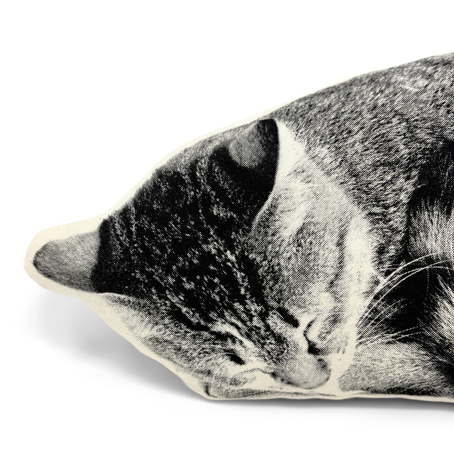 Sleeping Cat Pillow