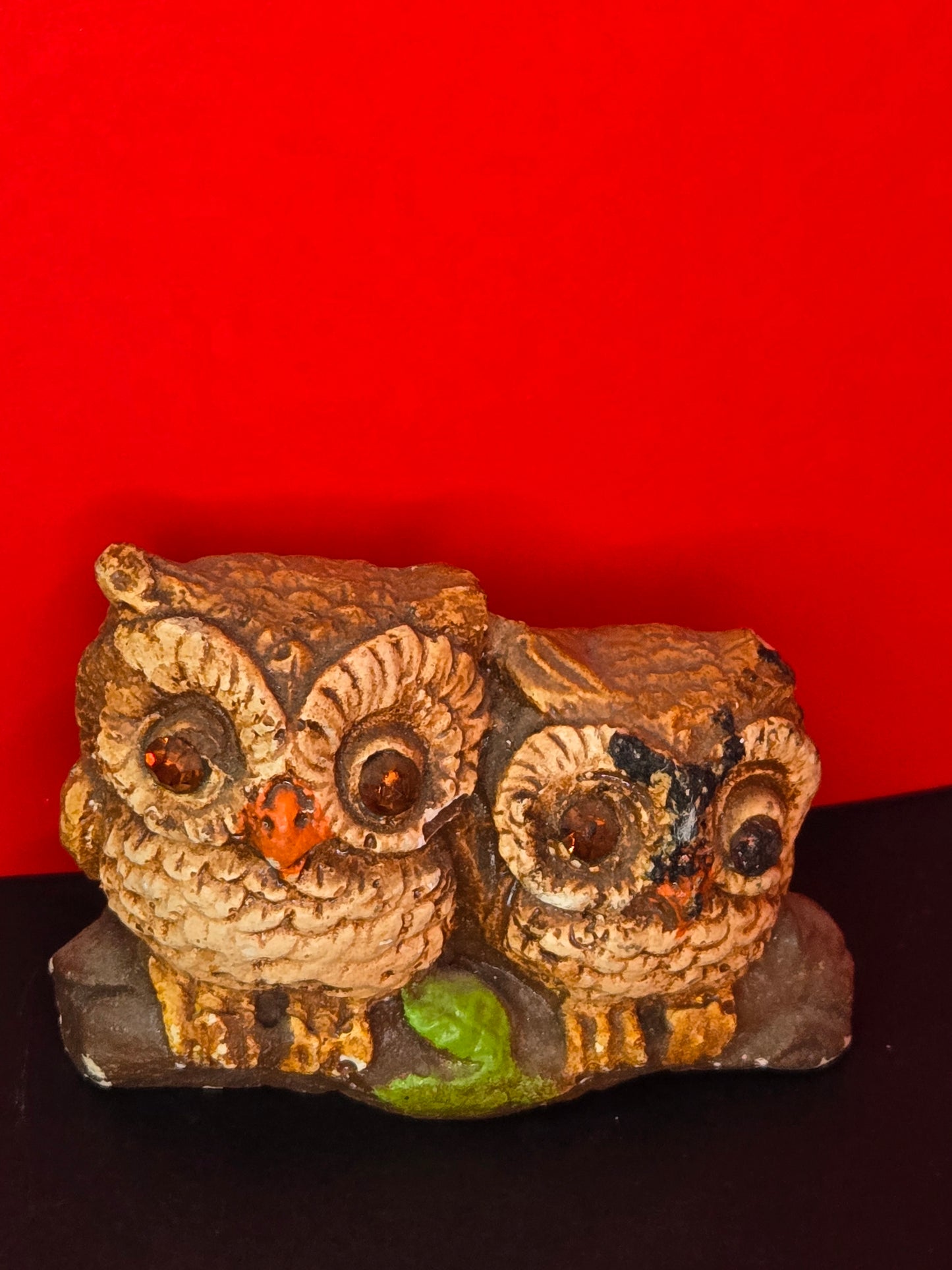 2 Owls together