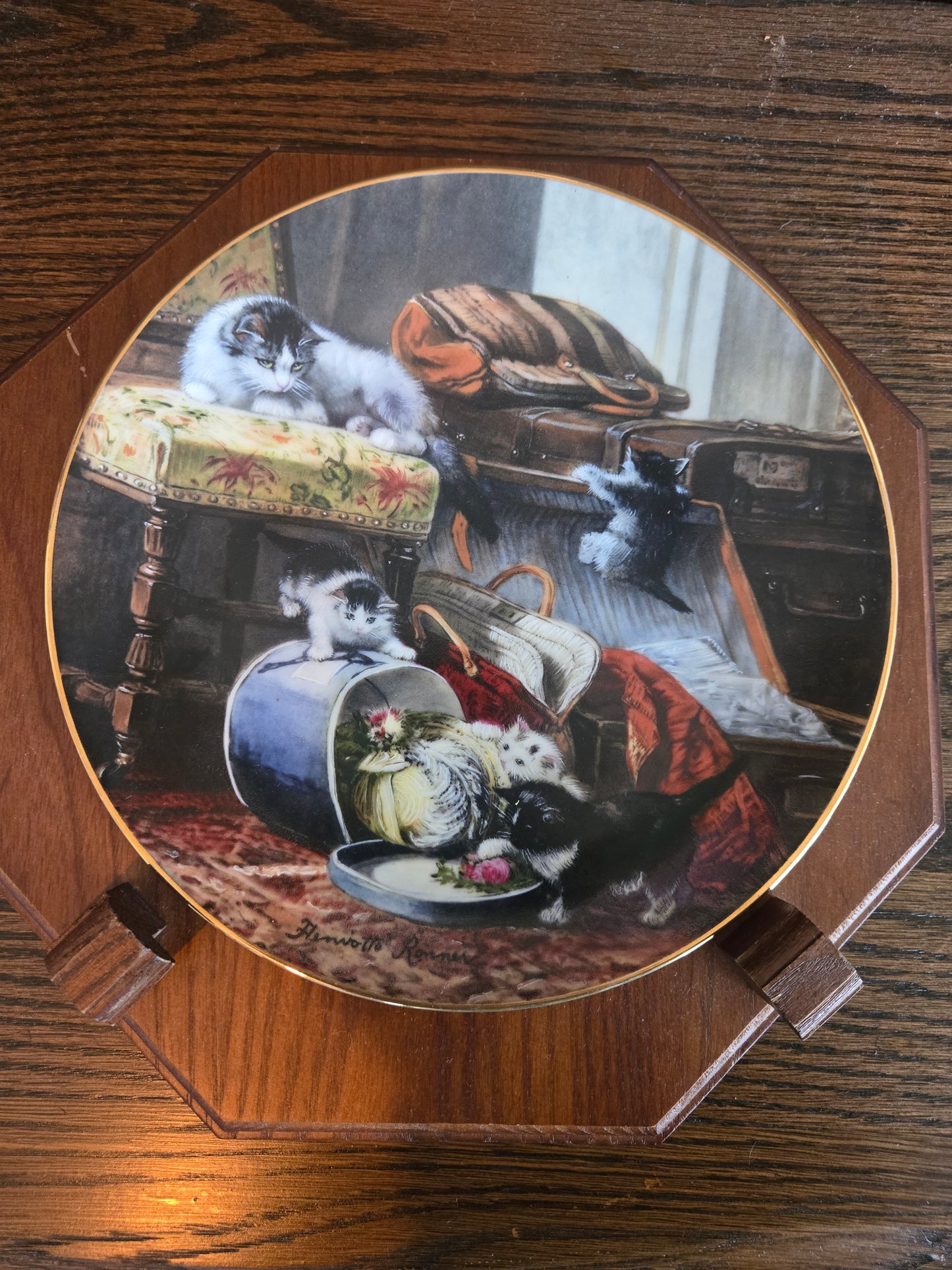 Playfully cats dish