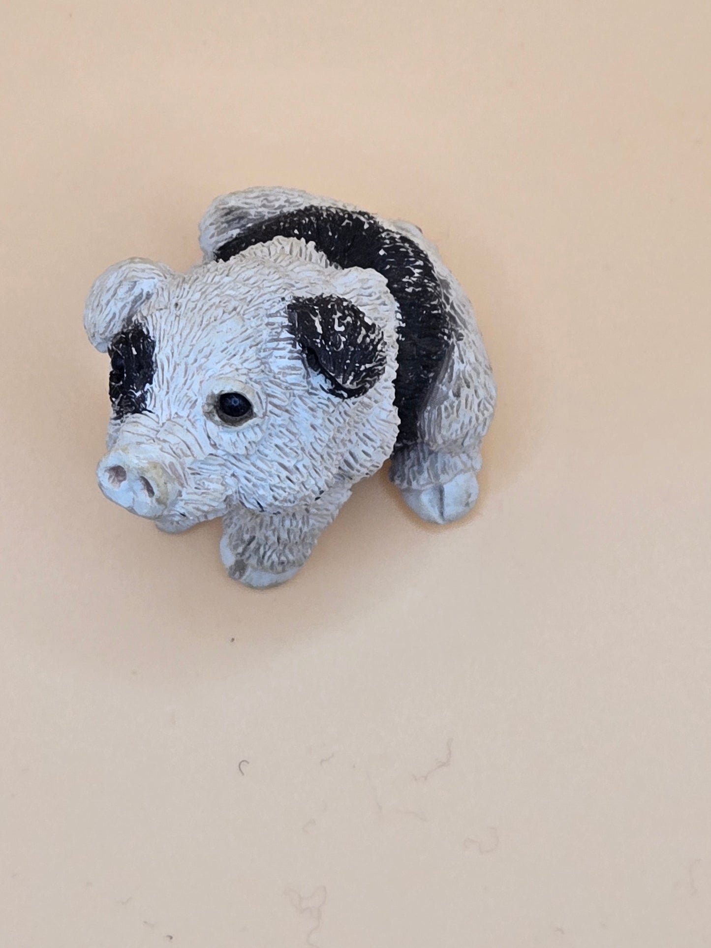 Black and white piggy