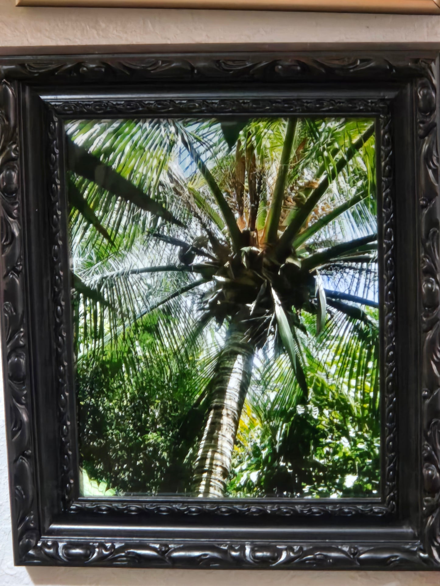Shade in Mexico