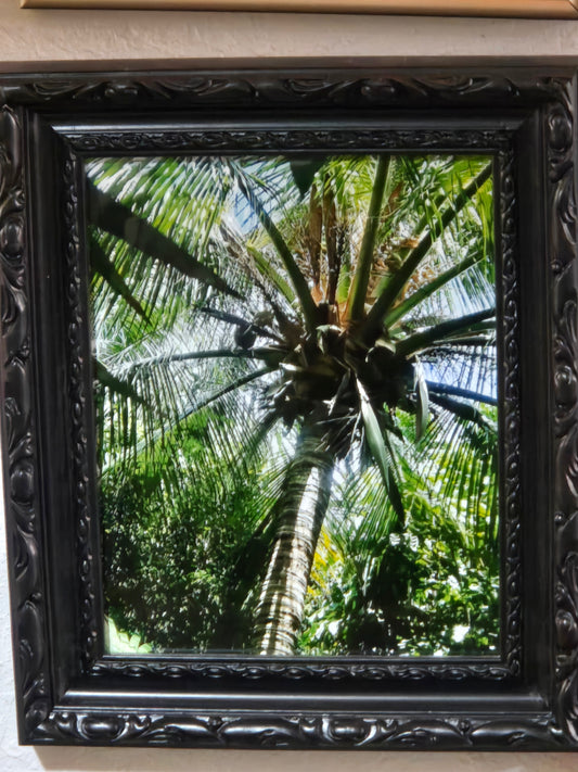 Shade in Mexico