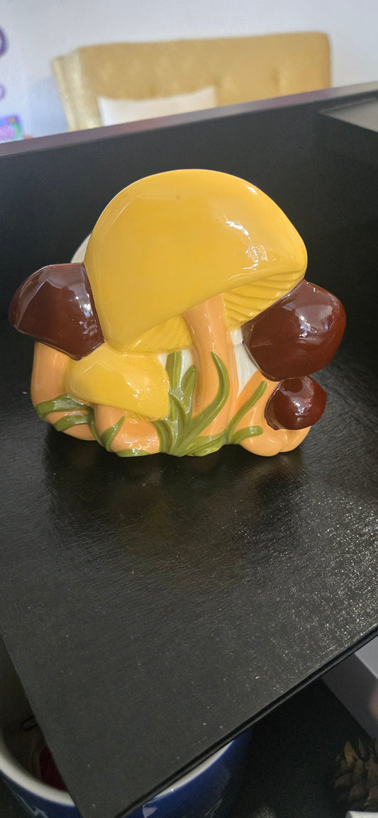 1970's Arnel Napkin Holder