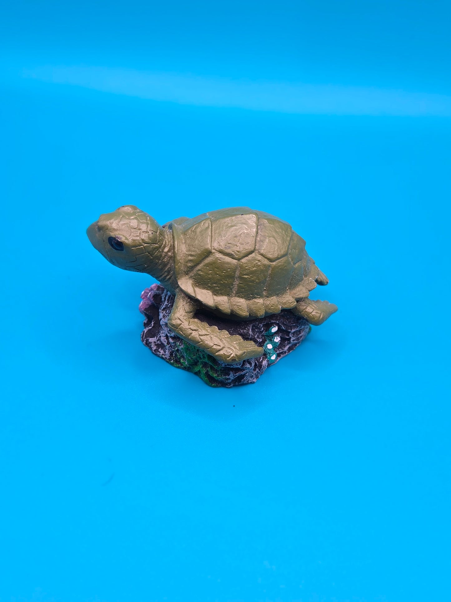 Small turtle