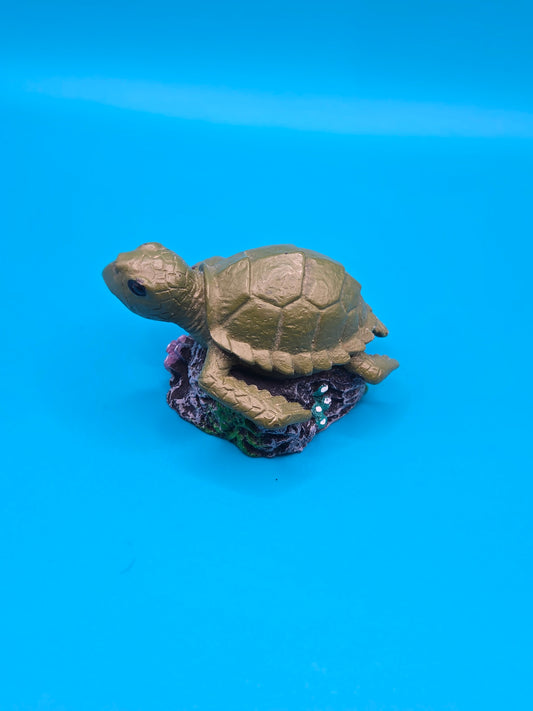 Small turtle